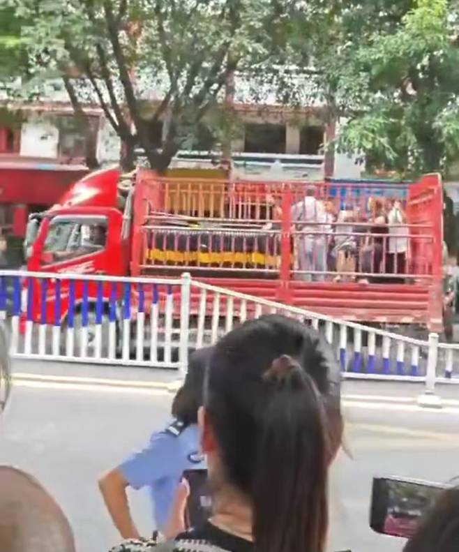 중국, 10대 폭행 사건 항의 시민들 돼지 우리 연행…공안 연행 논란