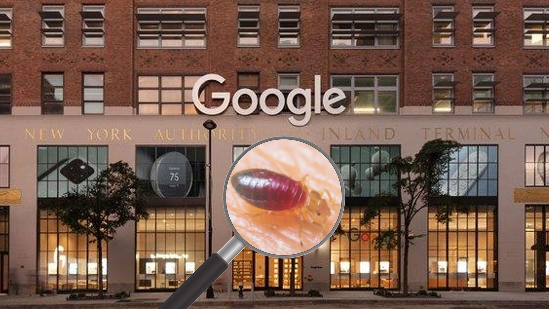 구글, 뉴욕 ‘210억 달러 캠퍼스’서 빈대 의심…직원들 재택근무 지시