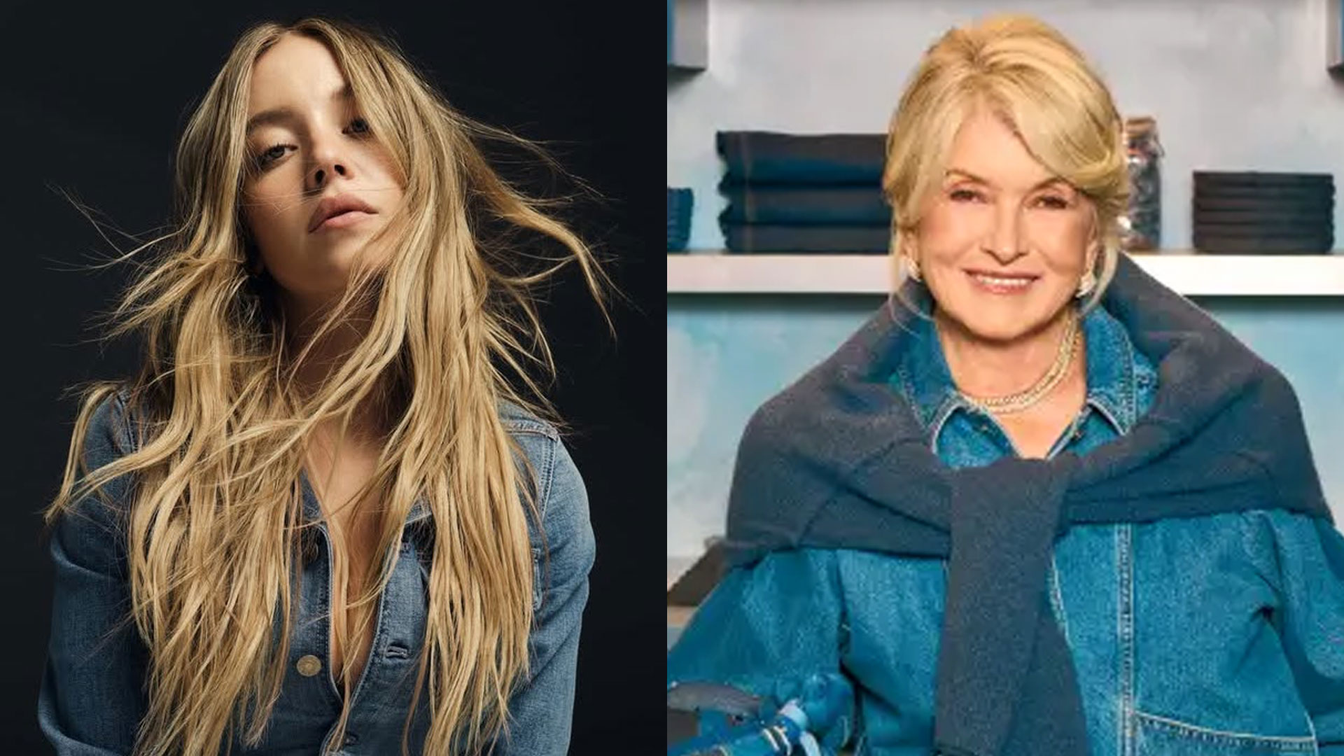 아메리칸 이글, 마사 스튜어트 기용해 이미지 쇄신…시드니 스위니 논란 뒤 주가 4%상승