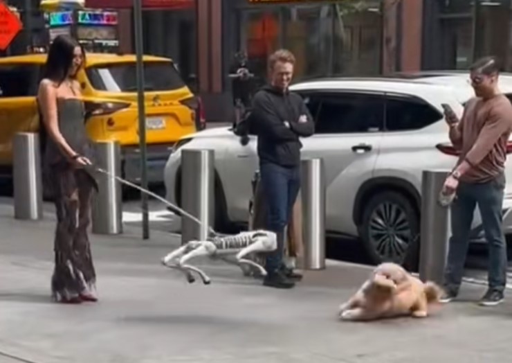 뉴욕서 AI 로봇 개가 반려견 위협…’디스토피아 현실’ 논란